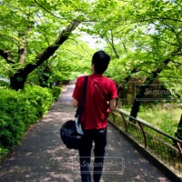 profile_image