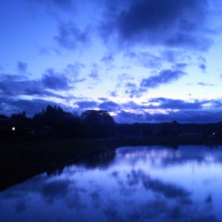 profile_image