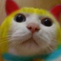 profile_image