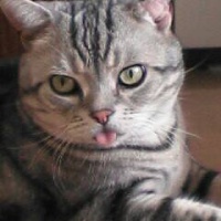 profile_image