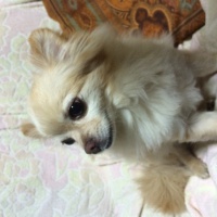 profile_image