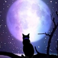 profile_image