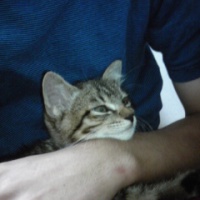profile_image