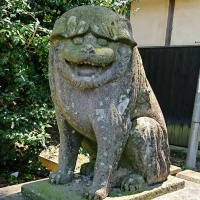 profile_image