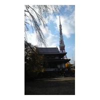 profile_image