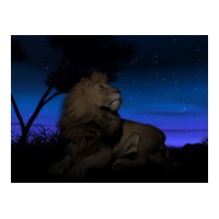 profile_image