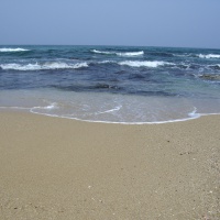 profile_image