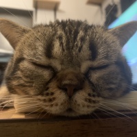 profile_image