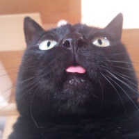 profile_image