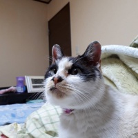profile_image