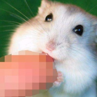 profile_image