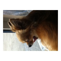 profile_image
