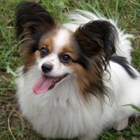 profile_image