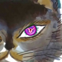 profile_image