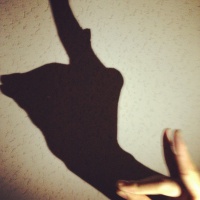 profile_image