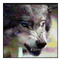 profile_image