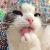 profile_image
