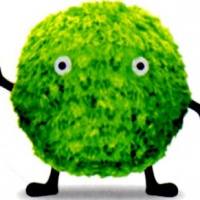 profile_image